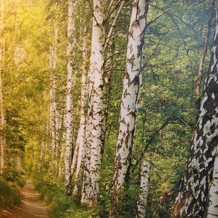 Le Tre Rose Casamassima