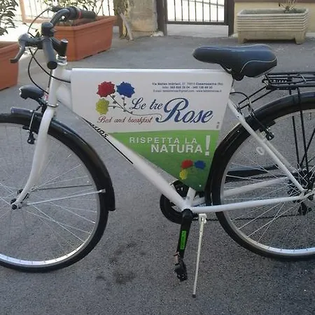 Bed & Breakfast Le Tre Rose Casamassima