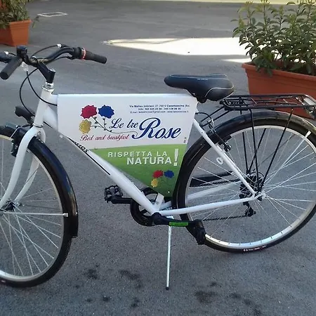 Le Tre Rose فندق مبيت وإفطار 3*