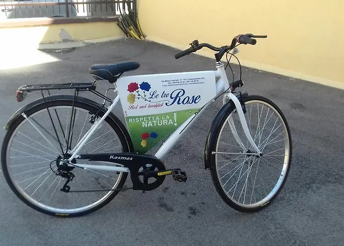 Le Tre Rose Bed & Breakfast 3*